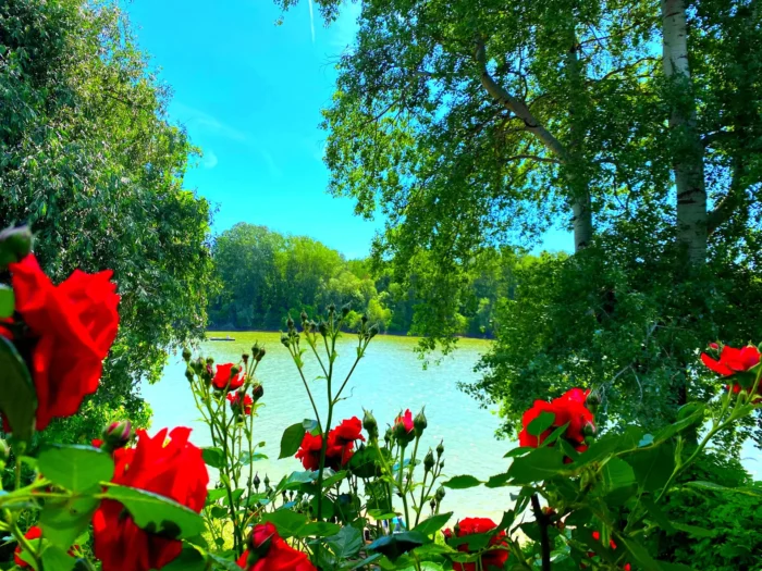 Aqua Bella Apartman kilátás 2