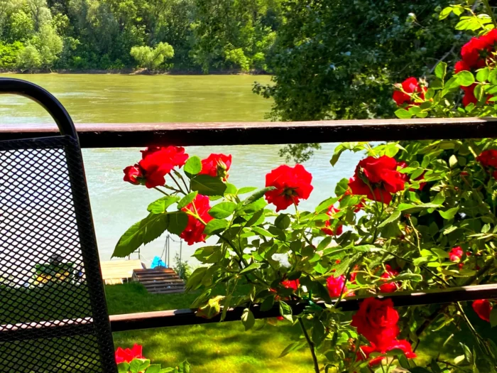 Aqua Bella Apartman kilátás 4