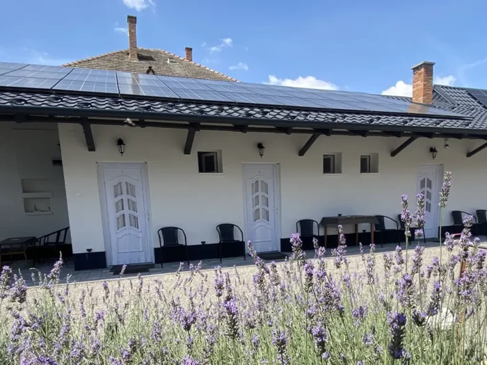 Örökzöld-Levendula Apartman kültér 5