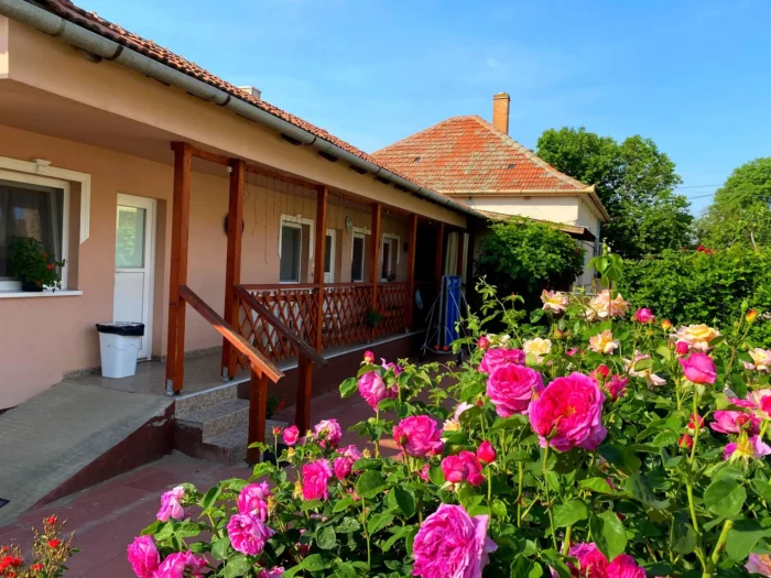 Tiszavirág Apartmanház kültér 3