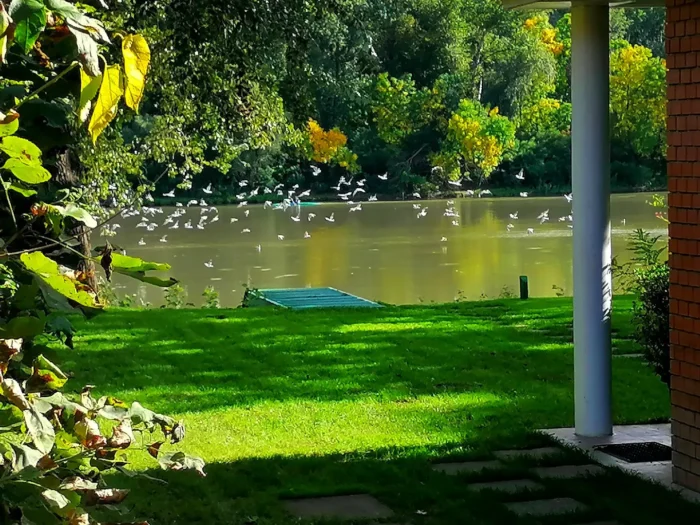 Tiszavirág Nyaralóház kültér 5