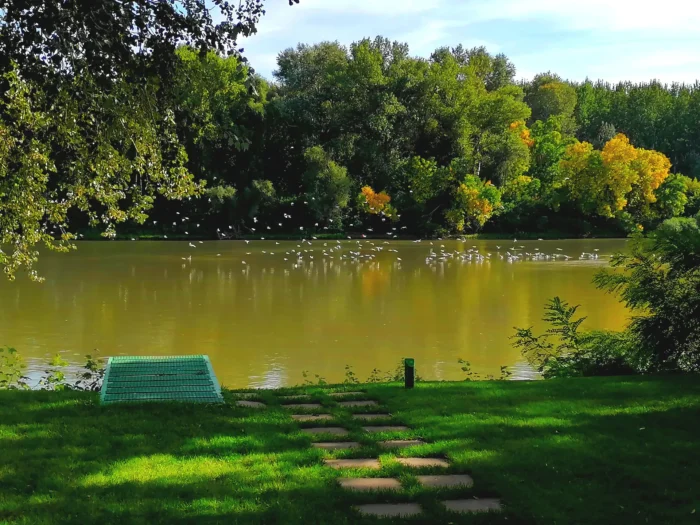 Tiszavirág Vendégház kültér 6